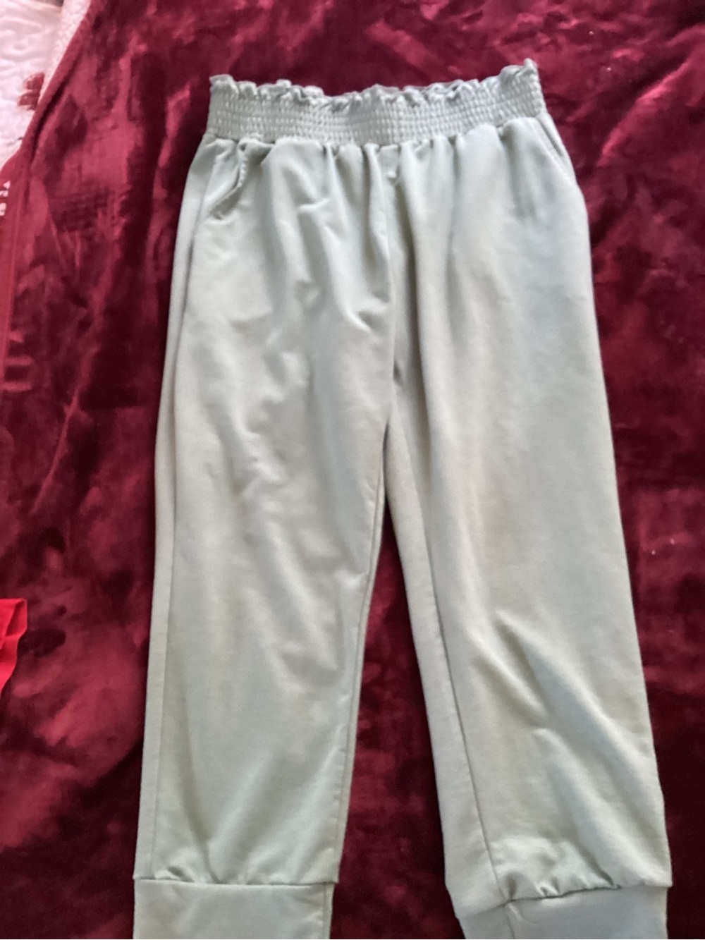 Everyday Light Sage Pull-On Joggers with Smocked Waist